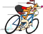 bike023.gif